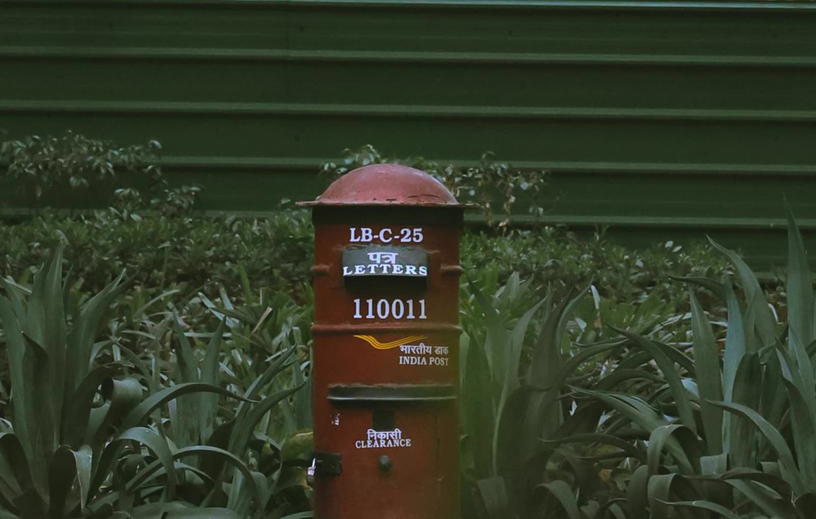 A red India Post letter box standing among green plants